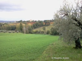 Frantoi Aperti, Giano dell'Umbria
