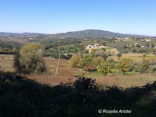 Frantoi Aperti, Giano dell'Umbria