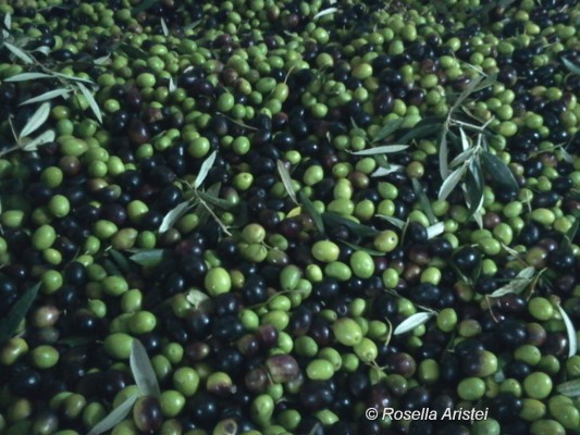 Frantoi Aperti, Giano dell'Umbria