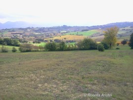 Frantoi Aperti, Giano dell'Umbria
