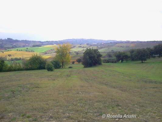 Frantoi Aperti, Giano dell'Umbria