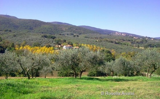 Giano dell'Umbria