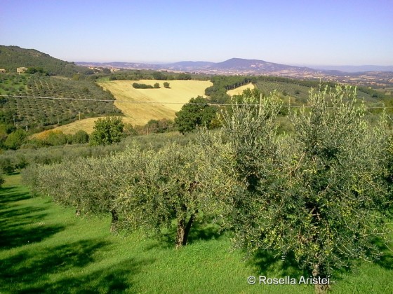Giano dell'Umbria