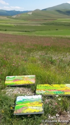 Fiorita di Castelluccio