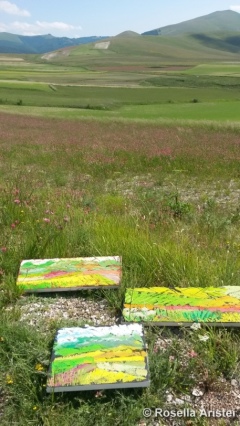 Fiorita di Castelluccio