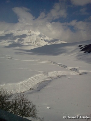 Fiorita di Castelluccio