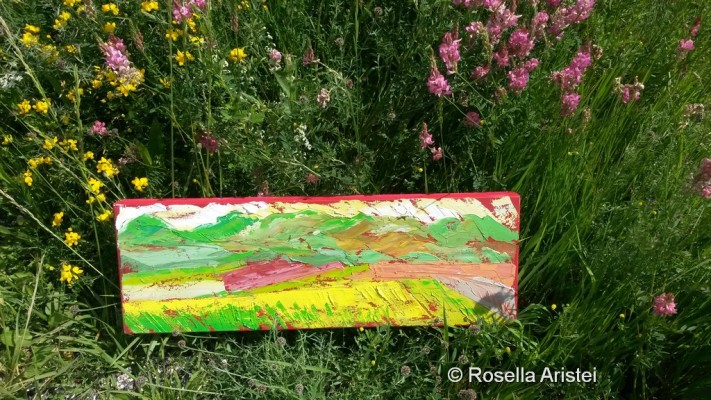 Fiorita di Castelluccio
