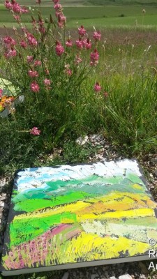 Fiorita di Castelluccio