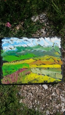 Fiorita di Castelluccio