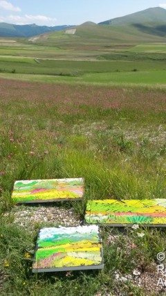 Fiorita di Castelluccio