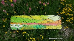 Fiorita di Castelluccio