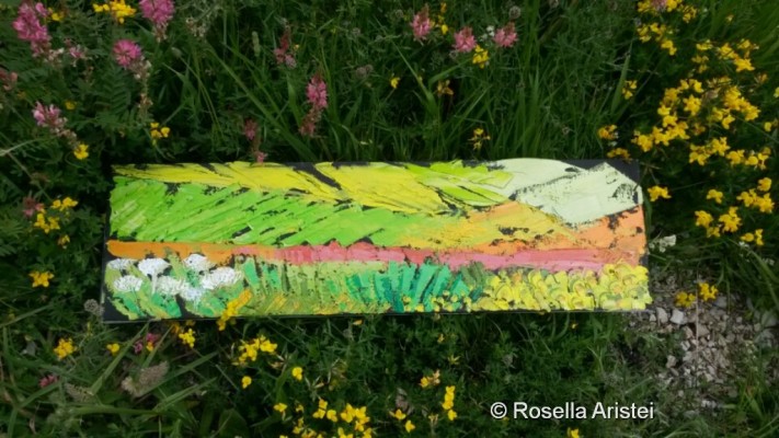 Fiorita di Castelluccio