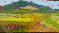 Fiorita di Castelluccio